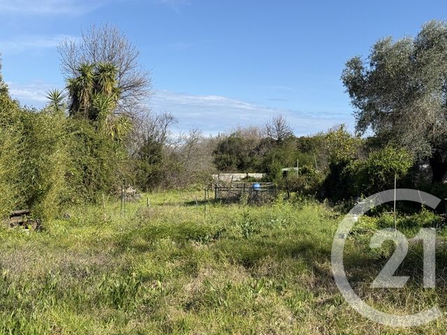 Terrain &agrave; vendre - 2395 m2 - Santa Lucia Di Moriani - 202 - CORSE