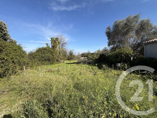 Terrain &agrave; vendre - 2395 m2 - Santa Lucia Di Moriani - 202 - CORSE