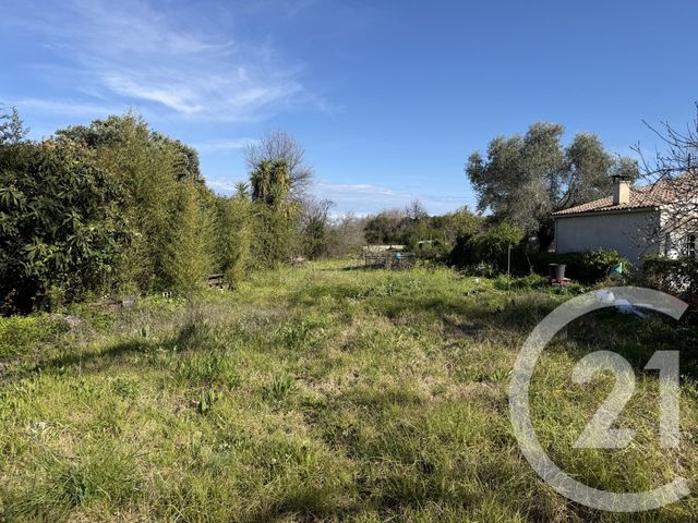 Terrain &agrave; vendre - 2395 m2 - Santa Lucia Di Moriani - 202 - CORSE