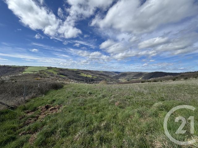 Terrain à vendre AMBIALET