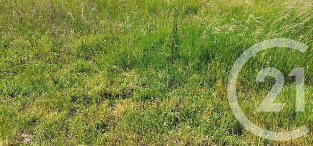 Terrain &agrave; vendre - 485 m2 - Chambly - 60 - PICARDIE