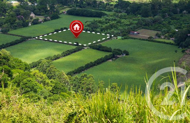 terrain - RONQUEROLLES - 95