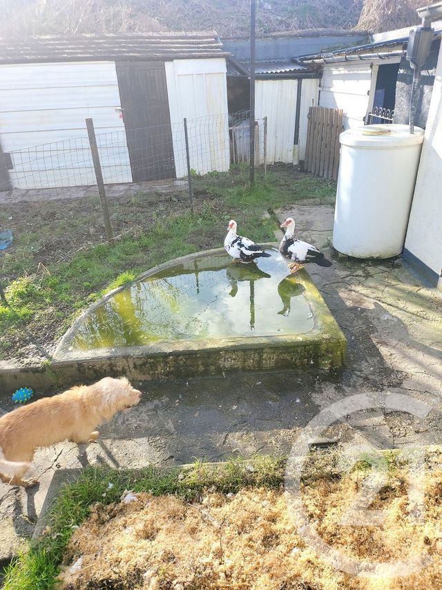 Maison &agrave; vendre - 6 pi&egrave;ces - 163 m2 - Chambly - 60 - PICARDIE