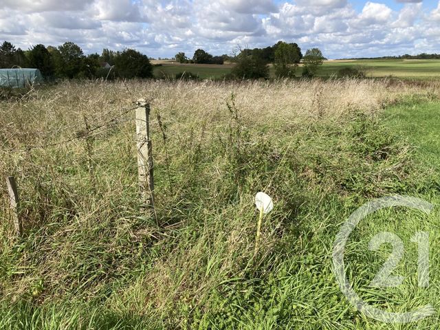 Terrain &agrave; vendre - 2382 m2 - Vieux Champagne - 77 - ILE-DE-FRANCE