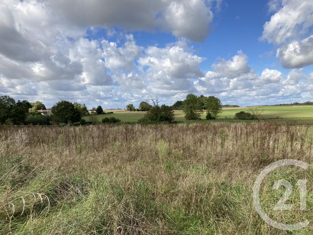 Terrain &agrave; vendre - 2382 m2 - Vieux Champagne - 77 - ILE-DE-FRANCE