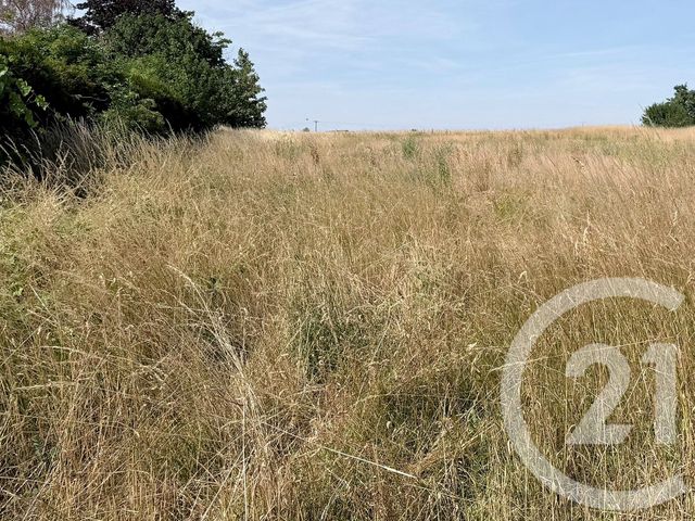 Terrain &agrave; vendre - 945 m2 - Maison Rouge - 77 - ILE-DE-FRANCE