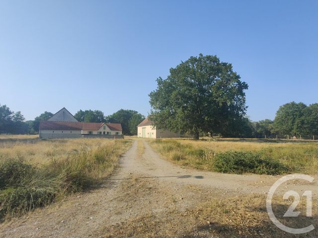 Maison &agrave; louer - 4 pi&egrave;ces - 150 m2 - Lurcy Levis - 03 - AUVERGNE