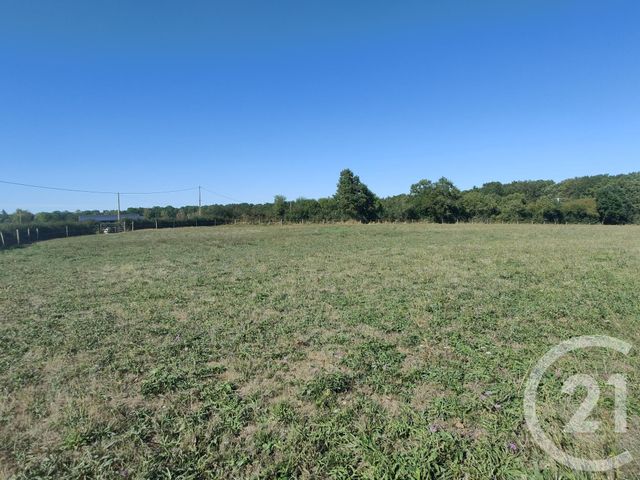 Maison &agrave; louer - 5 pi&egrave;ces - 93,57 m2 - Valigny - 03 - AUVERGNE