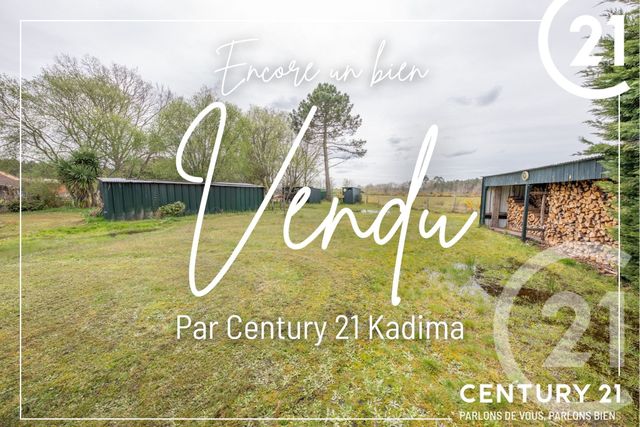 terrain - SALAUNES - 33