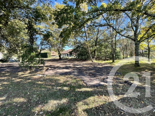 Terrain à vendre - 963 m2 - Salaunes - 33 - AQUITAINE