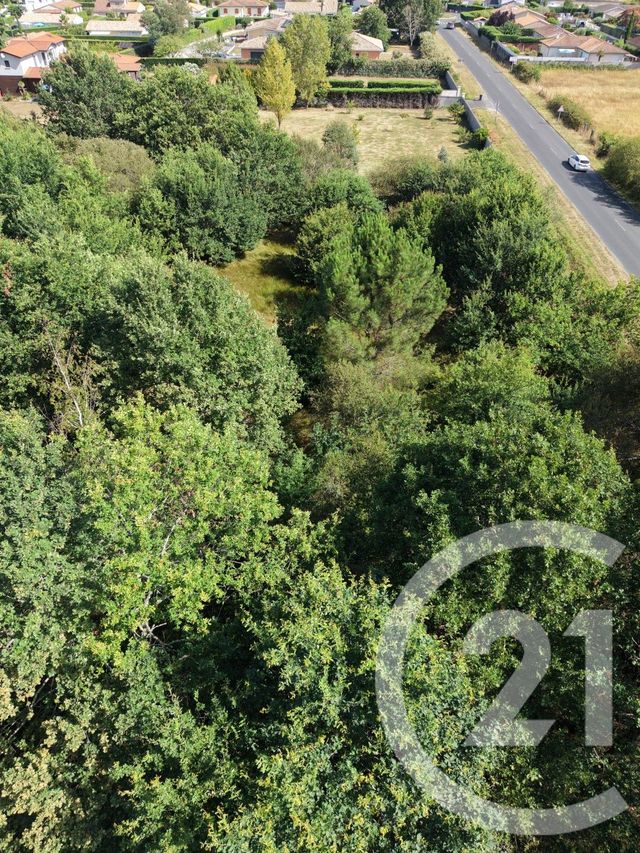 Terrain &agrave; vendre - 10819 m2 - St Medard En Jalles - 33 - AQUITAINE