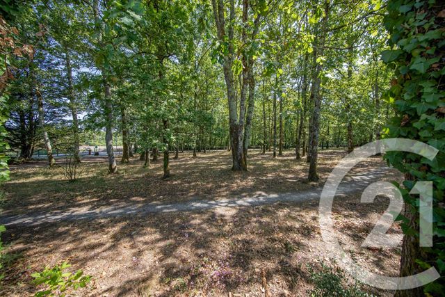 Maison &agrave; vendre - 6 pi&egrave;ces - 132 m2 - Le Taillan Medoc - 33 - AQUITAINE