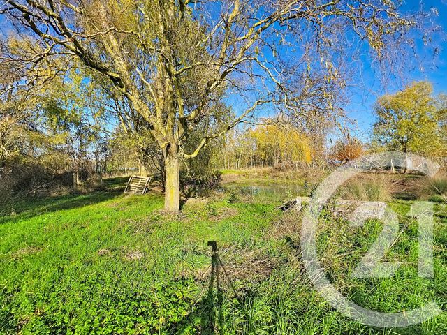 Maison à vendre - 6 pièces - 179 m2 - Le Langon - 85 - PAYS-DE-LOIRE