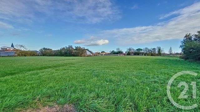 Terrain à vendre - 6716 m2 - Triaize - 85 - PAYS-DE-LOIRE