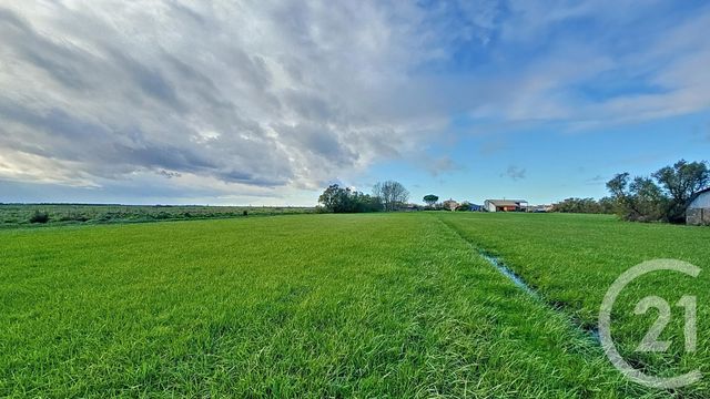 Terrain à vendre - 6716 m2 - Triaize - 85 - PAYS-DE-LOIRE