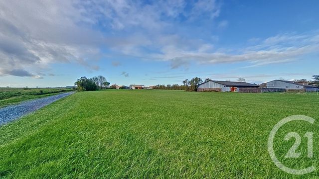 Terrain à vendre - 6716 m2 - Triaize - 85 - PAYS-DE-LOIRE