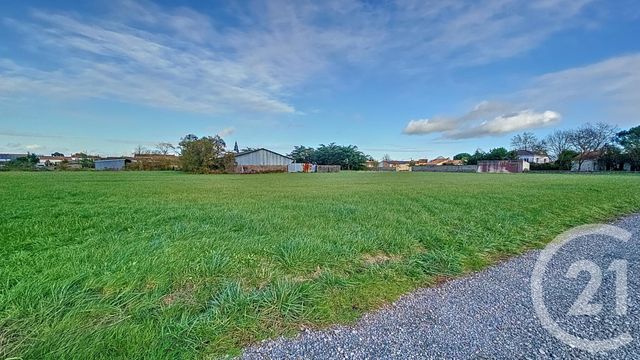 Terrain à vendre - 6716 m2 - Triaize - 85 - PAYS-DE-LOIRE