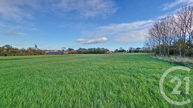 Terrain à vendre - 6716 m2 - Triaize - 85 - PAYS-DE-LOIRE