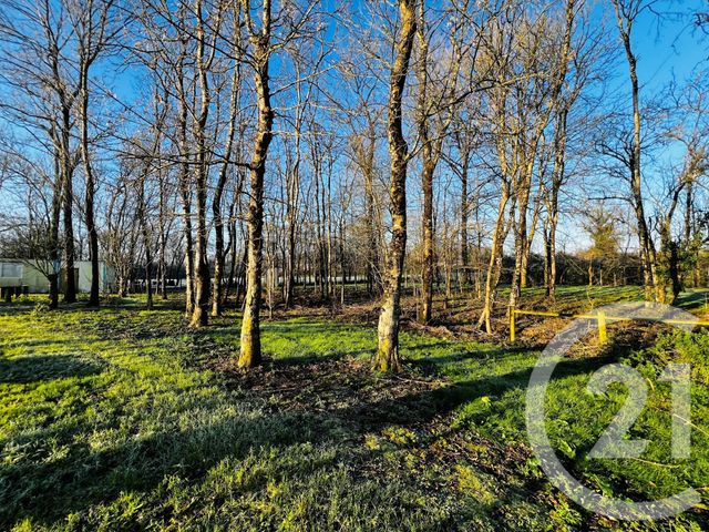 Terrain à vendre - 9715 m2 - St Vincent Sur Graon - 85 - PAYS-DE-LOIRE