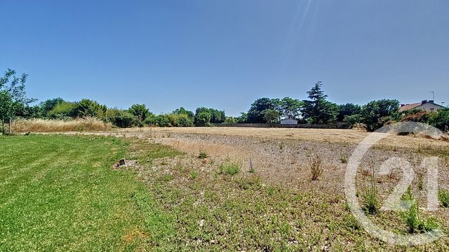 terrain - CHAMPAGNE LES MARAIS - 85