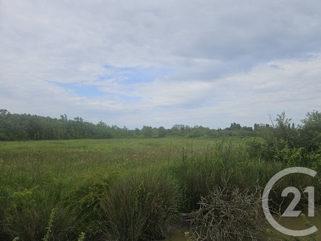 Terrain à vendre - 9110 m2 - Moreilles - 85 - PAYS-DE-LOIRE