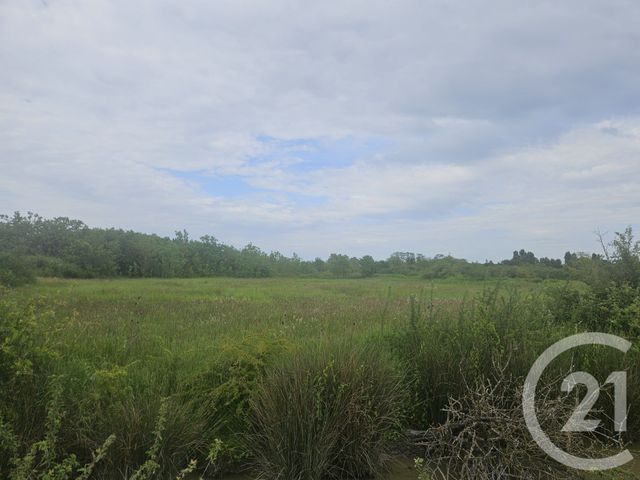 Terrain à vendre - 9110 m2 - Moreilles - 85 - PAYS-DE-LOIRE