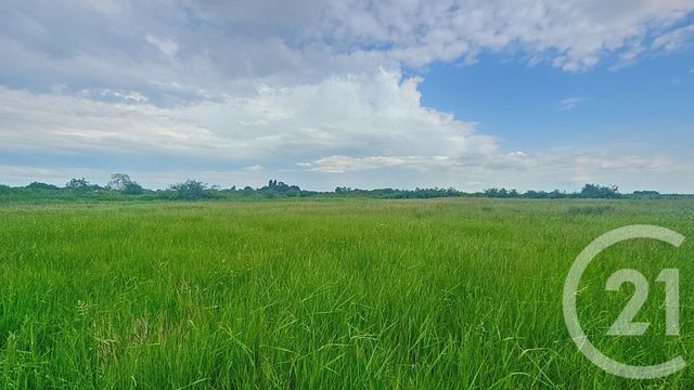 Terrain à vendre - 9110 m2 - Moreilles - 85 - PAYS-DE-LOIRE