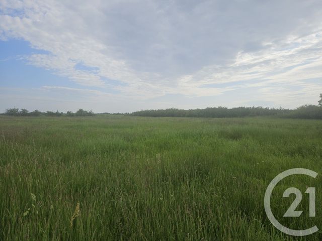 Terrain à vendre - 9110 m2 - Moreilles - 85 - PAYS-DE-LOIRE