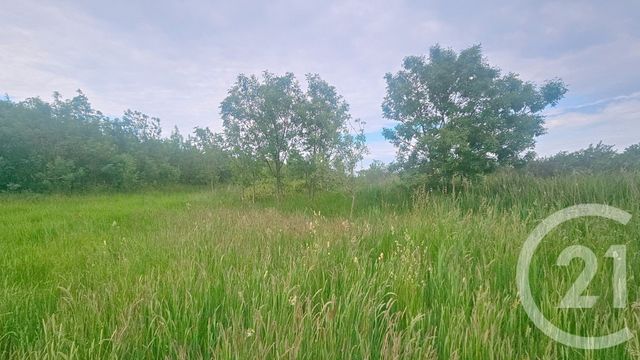 Terrain à vendre - 9110 m2 - Moreilles - 85 - PAYS-DE-LOIRE