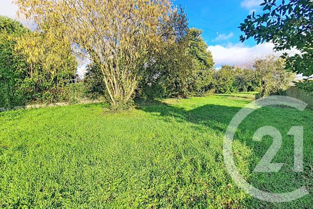 terrain - LUCON - 85