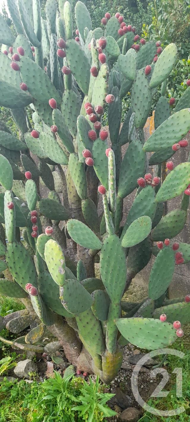 Maison à vendre - 7 pièces - 142 m2 - St Michel En L Herm - 85 - PAYS-DE-LOIRE