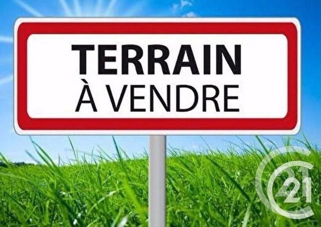 terrain - LUCON - 85