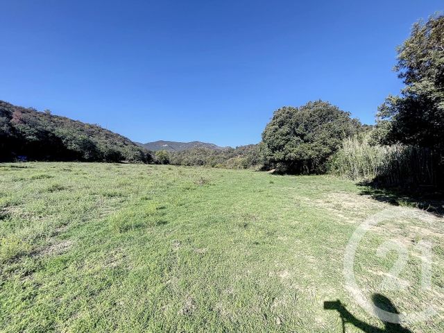 Terrain &agrave; vendre - 22147 m2 - Montauriol - 66 - LANGUEDOC-ROUSSILLON