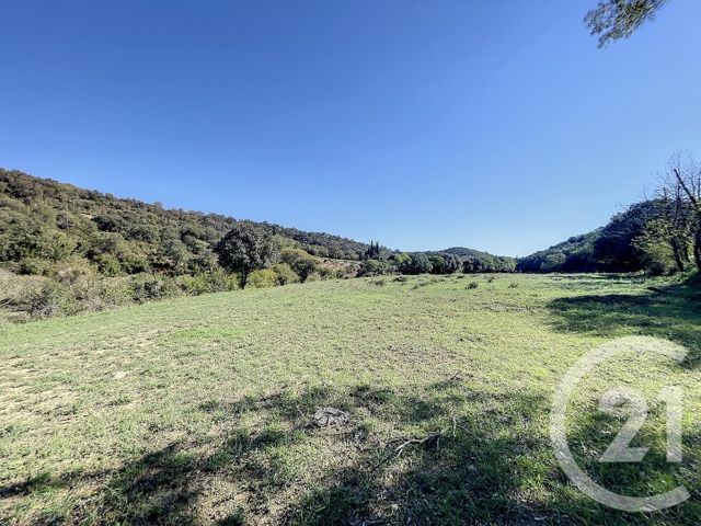 Terrain &agrave; vendre - 22147 m2 - Montauriol - 66 - LANGUEDOC-ROUSSILLON