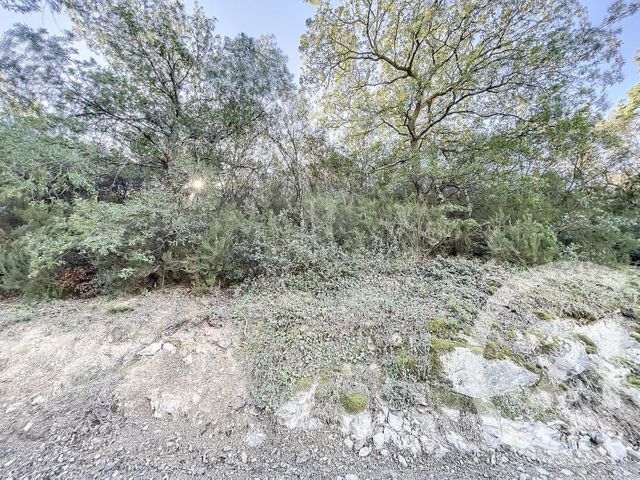 Terrain &agrave; vendre - 22147 m2 - Montauriol - 66 - LANGUEDOC-ROUSSILLON