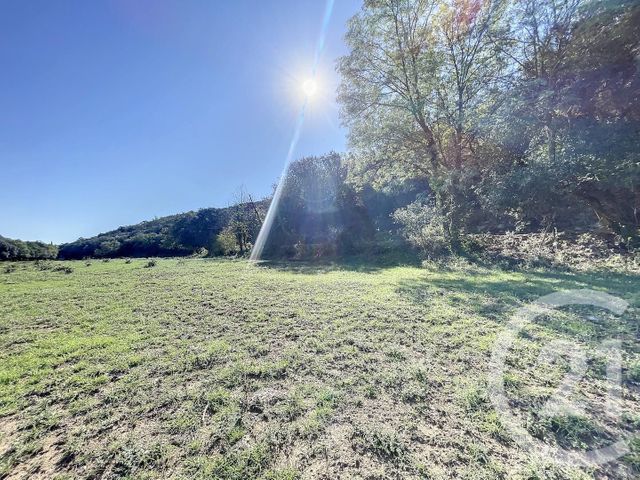 Terrain &agrave; vendre - 22147 m2 - Montauriol - 66 - LANGUEDOC-ROUSSILLON