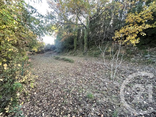 Terrain &agrave; vendre - 483 m2 - Thuir - 66 - LANGUEDOC-ROUSSILLON