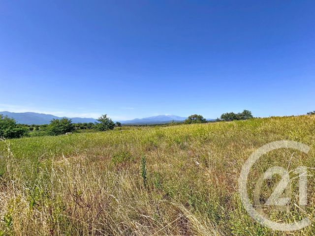 Maison à vendre - 8 pièces - 334,20 m2 - Tresserre - 66 - LANGUEDOC-ROUSSILLON