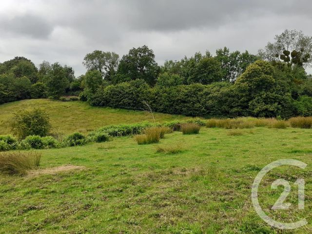 Maison &agrave; vendre - 7 pi&egrave;ces - 180 m2 - Bonnebosq - 14 - BASSE-NORMANDIE