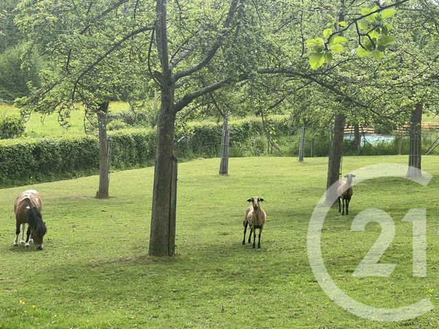 Maison à vendre - 8 pièces - 230 m2 - Coquainvilliers - 14 - BASSE-NORMANDIE