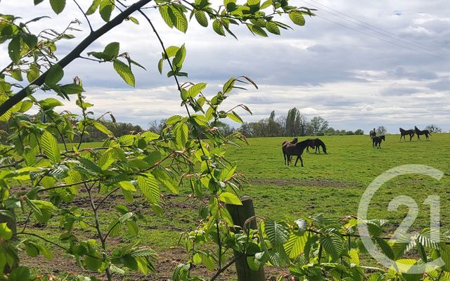 Maison &agrave; vendre - 8 pi&egrave;ces - 164 m2 - Pont L Eveque - 14 - BASSE-NORMANDIE