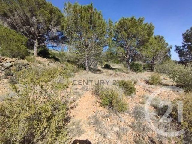 Terrain &agrave; vendre - 7120 m2 - Salses Le Chateau - 66 - LANGUEDOC-ROUSSILLON