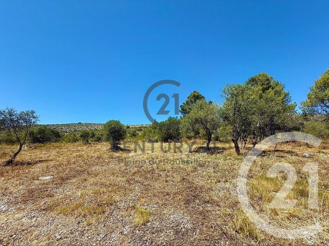 Terrain &agrave; vendre - 7436 m2 - Opoul Perillos - 66 - LANGUEDOC-ROUSSILLON