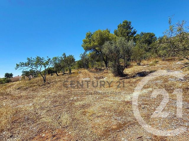 Terrain &agrave; vendre - 7436 m2 - Opoul Perillos - 66 - LANGUEDOC-ROUSSILLON