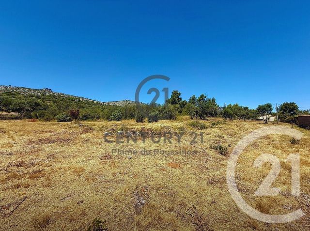 Terrain &agrave; vendre - 7436 m2 - Opoul Perillos - 66 - LANGUEDOC-ROUSSILLON