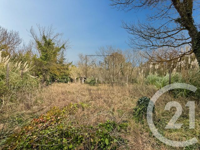 terrain - SALSES LE CHATEAU - 66