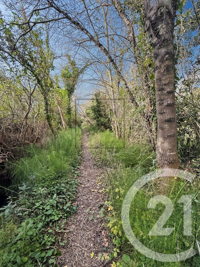 Terrain &agrave; vendre - 520 m2 - Salses Le Chateau - 66 - LANGUEDOC-ROUSSILLON