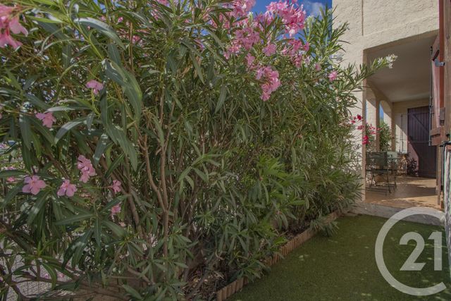 Appartement &agrave; louer - 3 pi&egrave;ces - 67,17 m2 - Le Pradet - 83 - PROVENCE-ALPES-COTE-D-AZUR