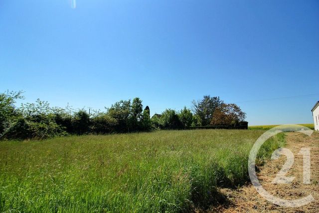 Terrain &agrave; vendre - 1350 m2 - Danze - 41 - CENTRE
