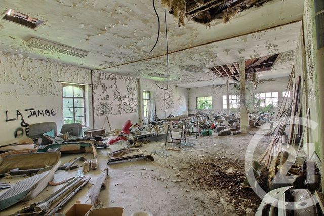 Maison à vendre - 22 pièces - 1115 m2 - Savigny Sur Braye - 41 - CENTRE